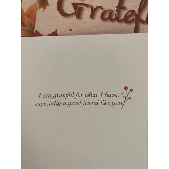 Thanksgiving Cards invitations with Envelopes 4 Designs with stickers new 48pcs - Picture 4 of 11